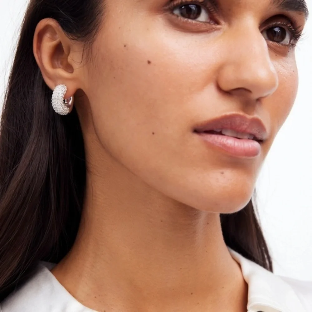 NWT Madewell Pavé Small Hoop Earrings Silver